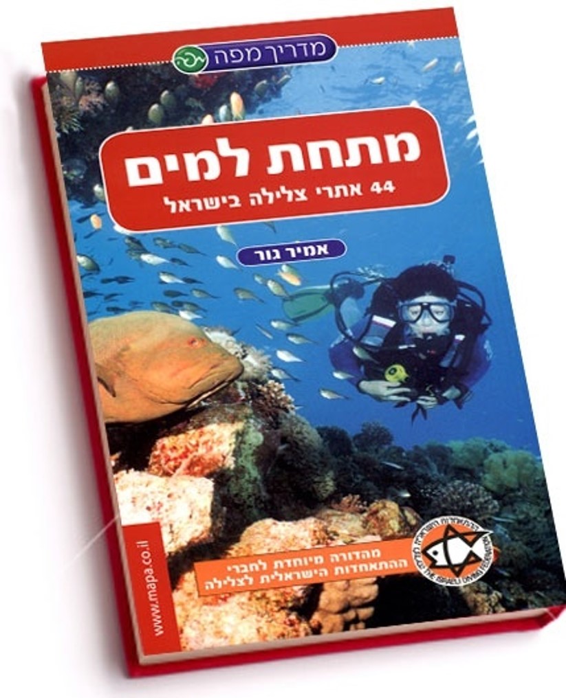 הכרות עם האתר